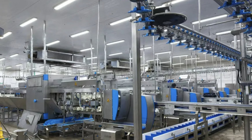 Shandong Taihe transforms its operations with Marel technologies for chicken parts